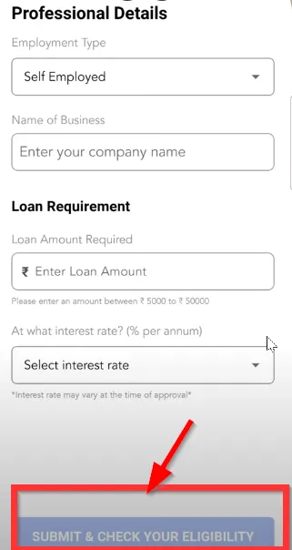 Form to enter employment and credit details