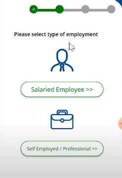Salaried Employee and Self Employed/Professional option