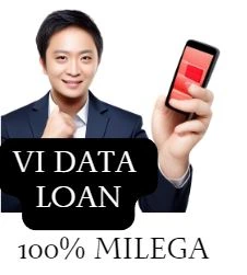 vi data loan